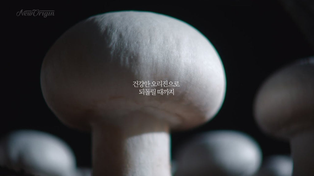 뉴오리진 New Origin TVCF 브랜드편