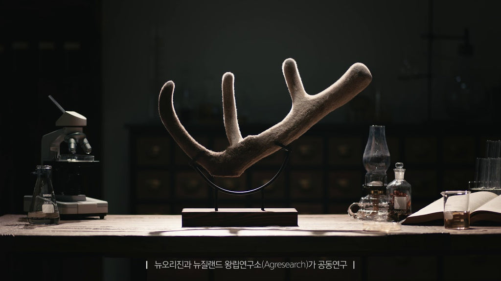 뉴오리진 New Origin 녹용편